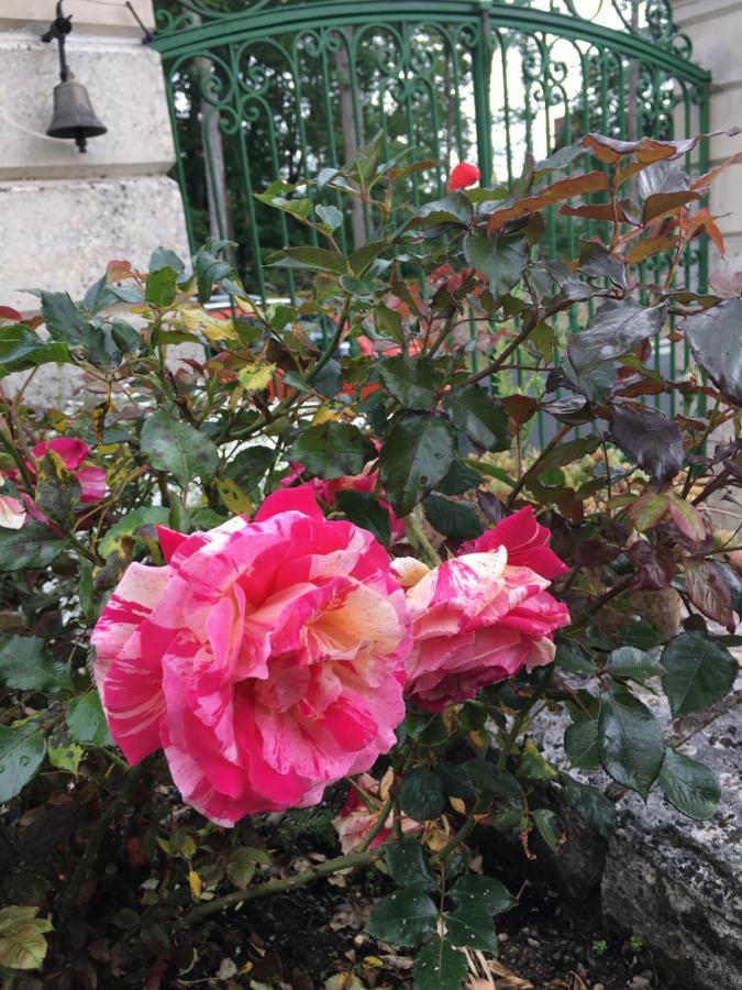 La Valiniere Bed & Breakfast Seur Dış mekan fotoğraf